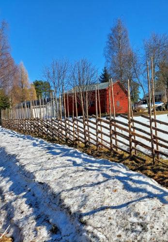 Gärdsgård 21 april 2023